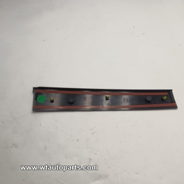 Center door outer panel C...