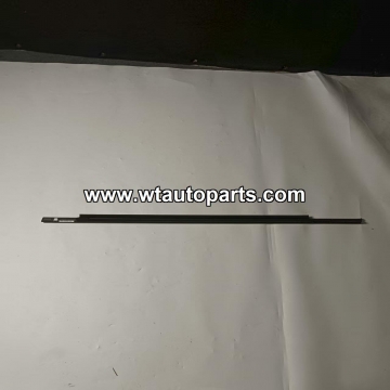 Glass Molding C00348748,MAXUS MIFA7