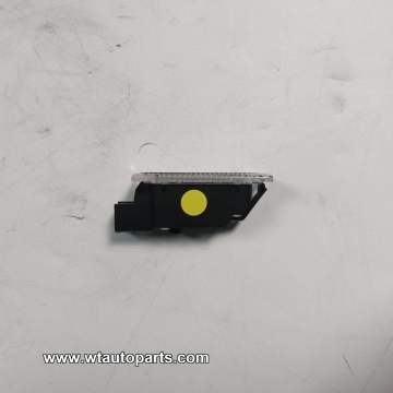 Luggage light C00179932