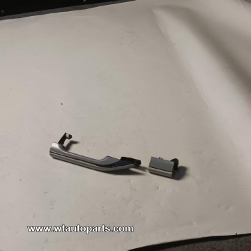Center outside door handle C00181311
