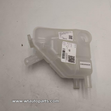 Fuel tank C00205029