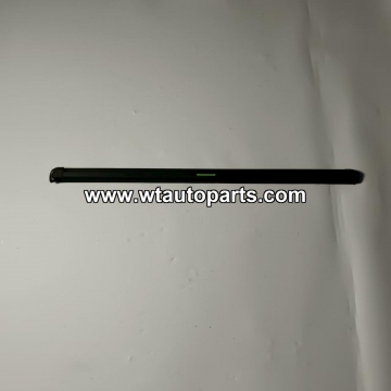 C00375299