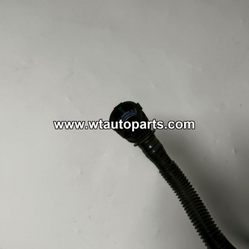 C00542496