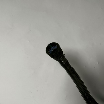 C00542496