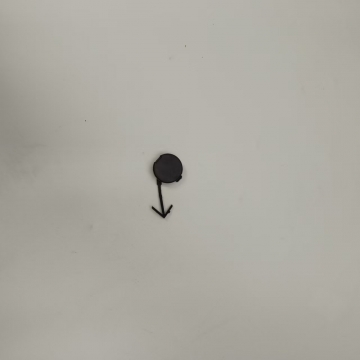 C00564681