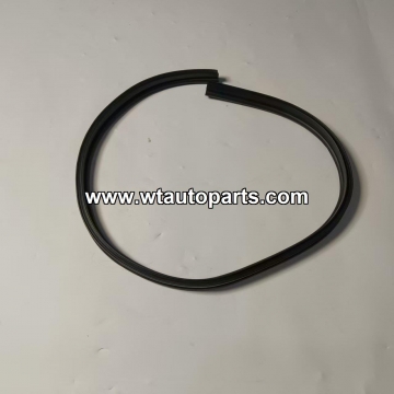 Seal Strip C00348776