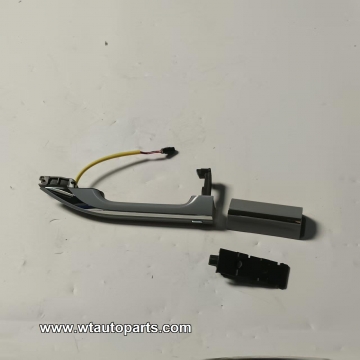 External handle C00181315