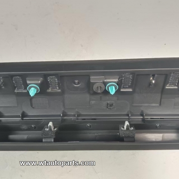 Rear door trim panel C00013658